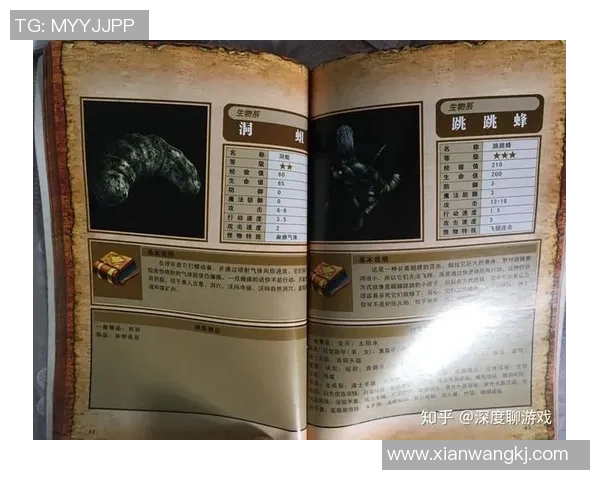 南美洲足球明星的辉煌历程与传奇故事揭秘